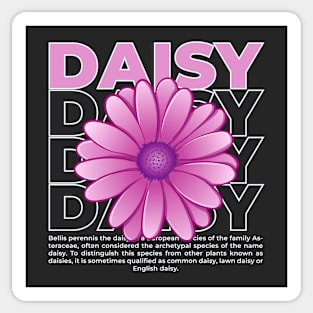 Daisy flower vector with typography Sticker